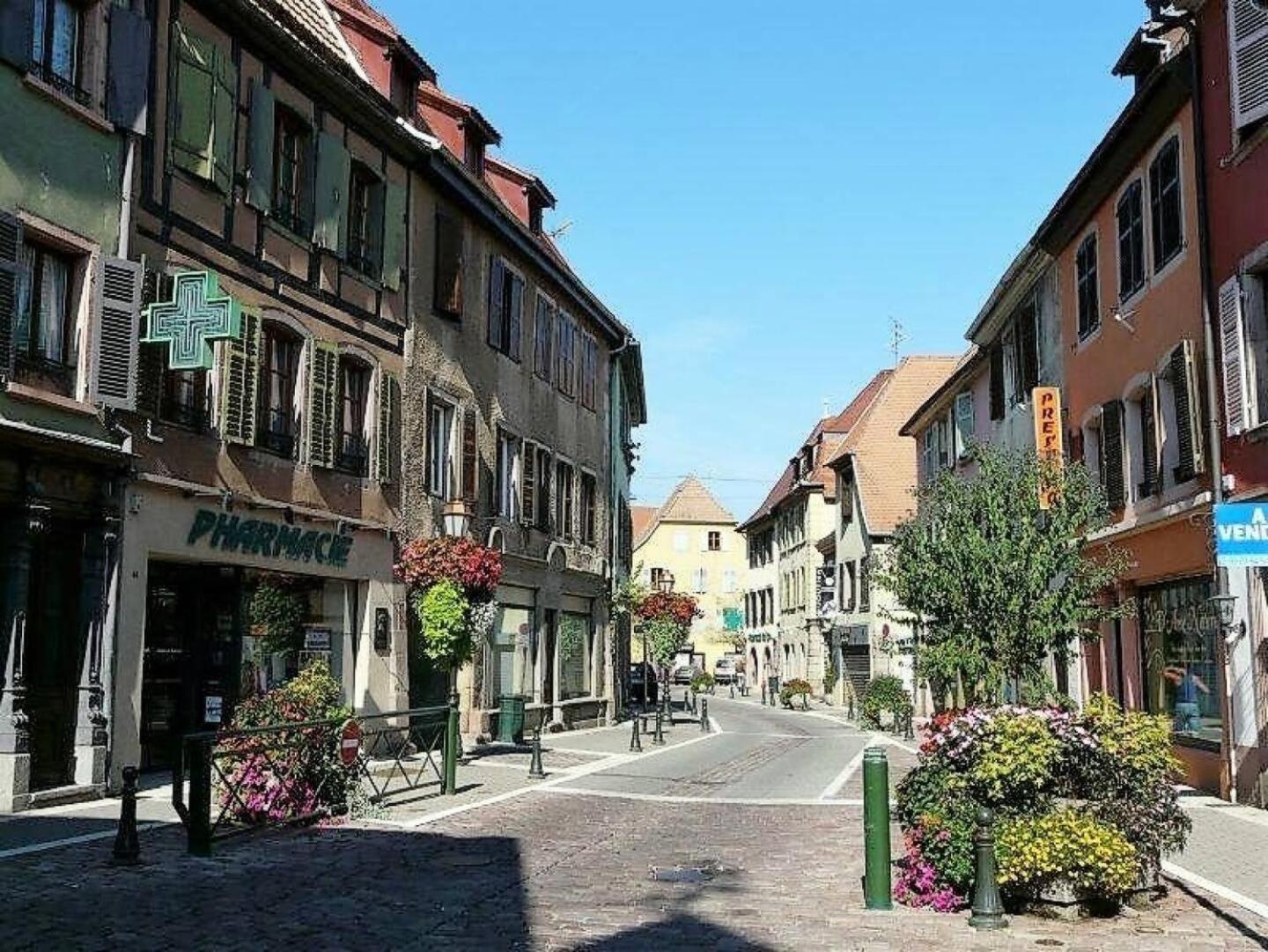 Studio L'Epicea Climatisation Sejour Parfait Soultz-Haut-Rhin ภายนอก รูปภาพ